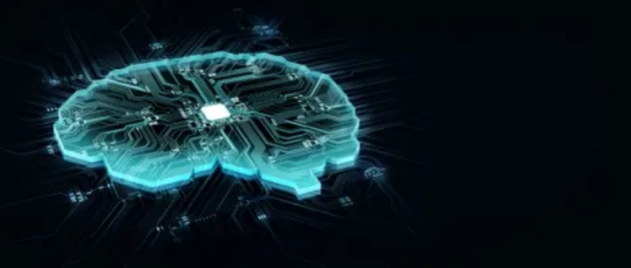 digitized brain