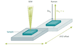 Gaining Insight into Cocoa Butter Polymorph Formation Through In Situ ...