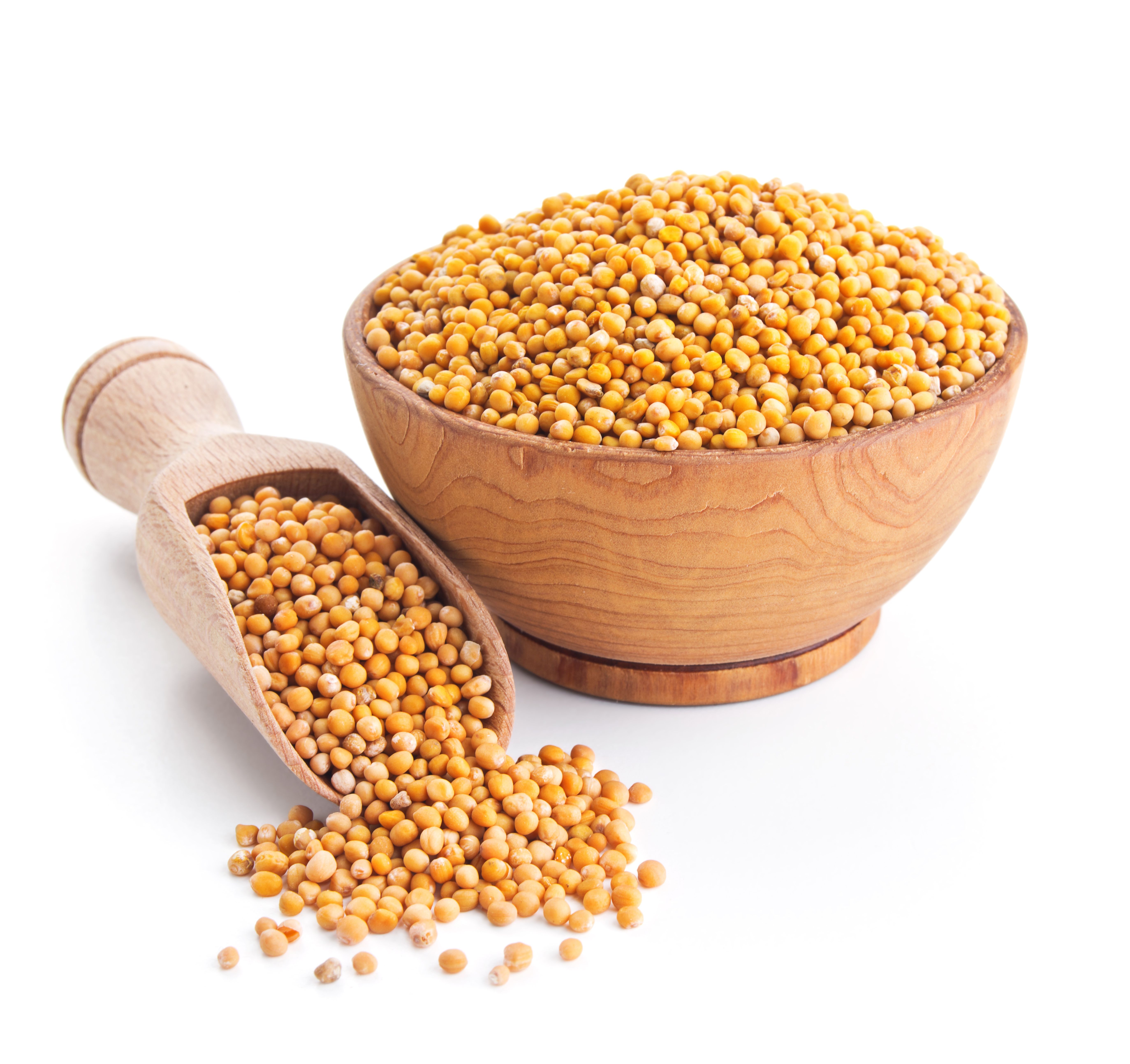 white mustard seeds isolated on white | Image Credit: © andriigorulko - stock.adobe.com