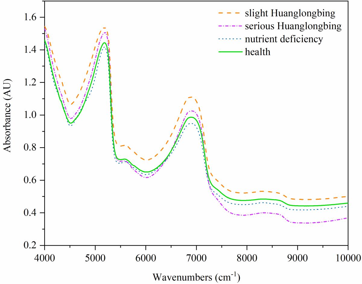 Near-Infrared Spectroscopy with Data Analysis Model for Rapid ...