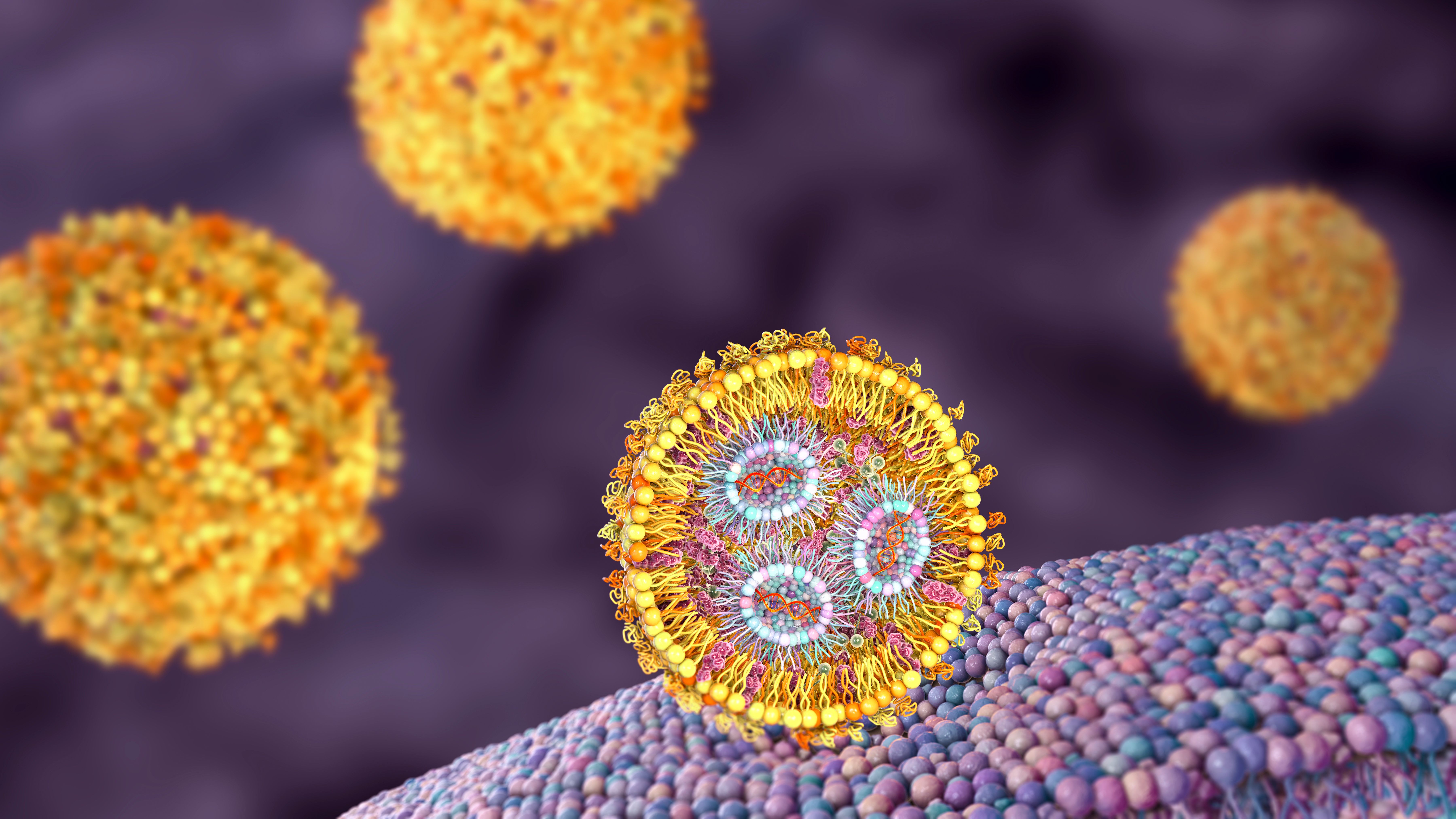 Lipid nanoparticle siRNA antiviral delivery system, 3D illustration | Image Credit: © Dr_Microbe - stock.adobe.com