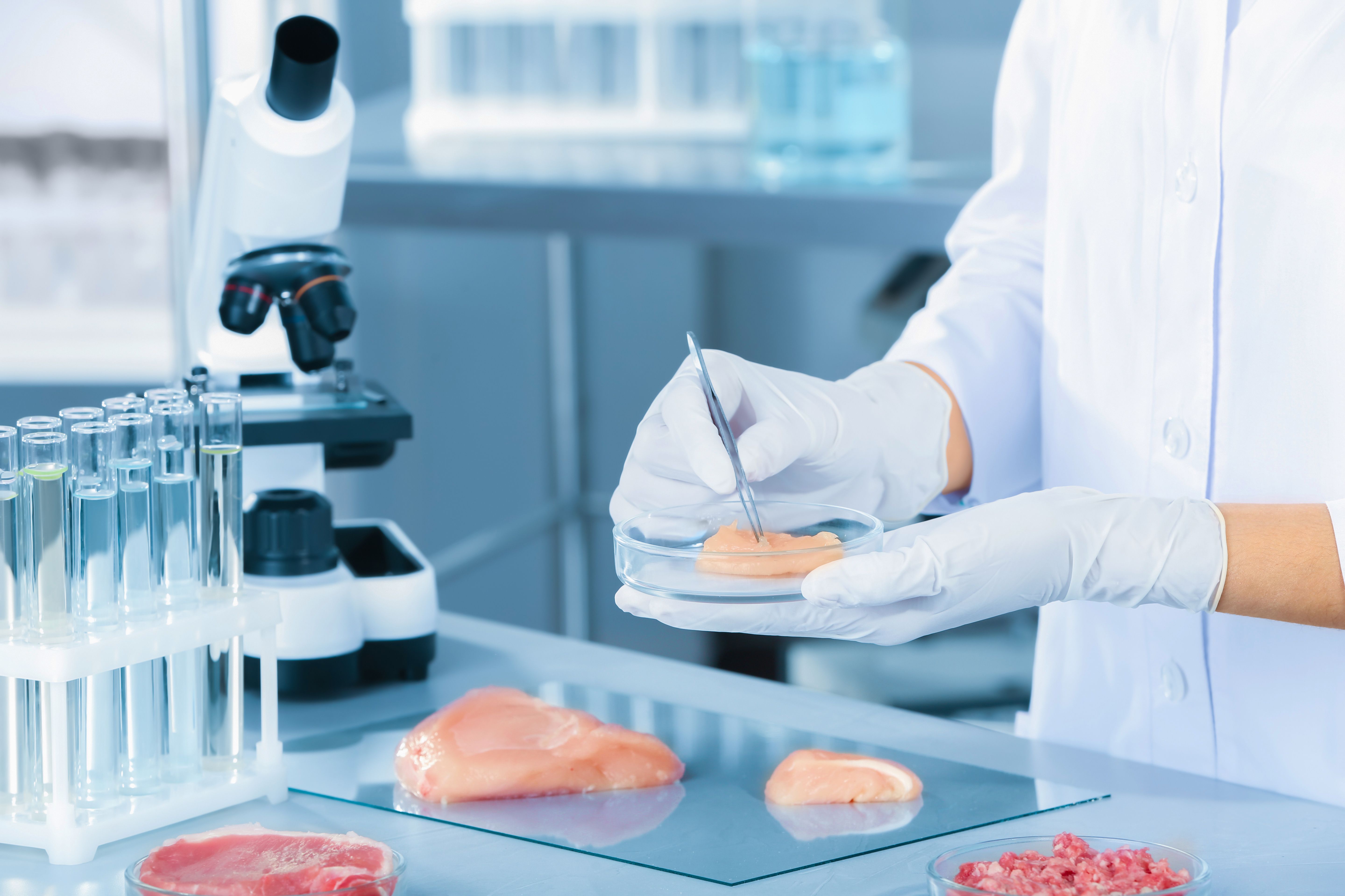 A Review of the Latest Spectroscopic Research in Food and Beverage Analysis