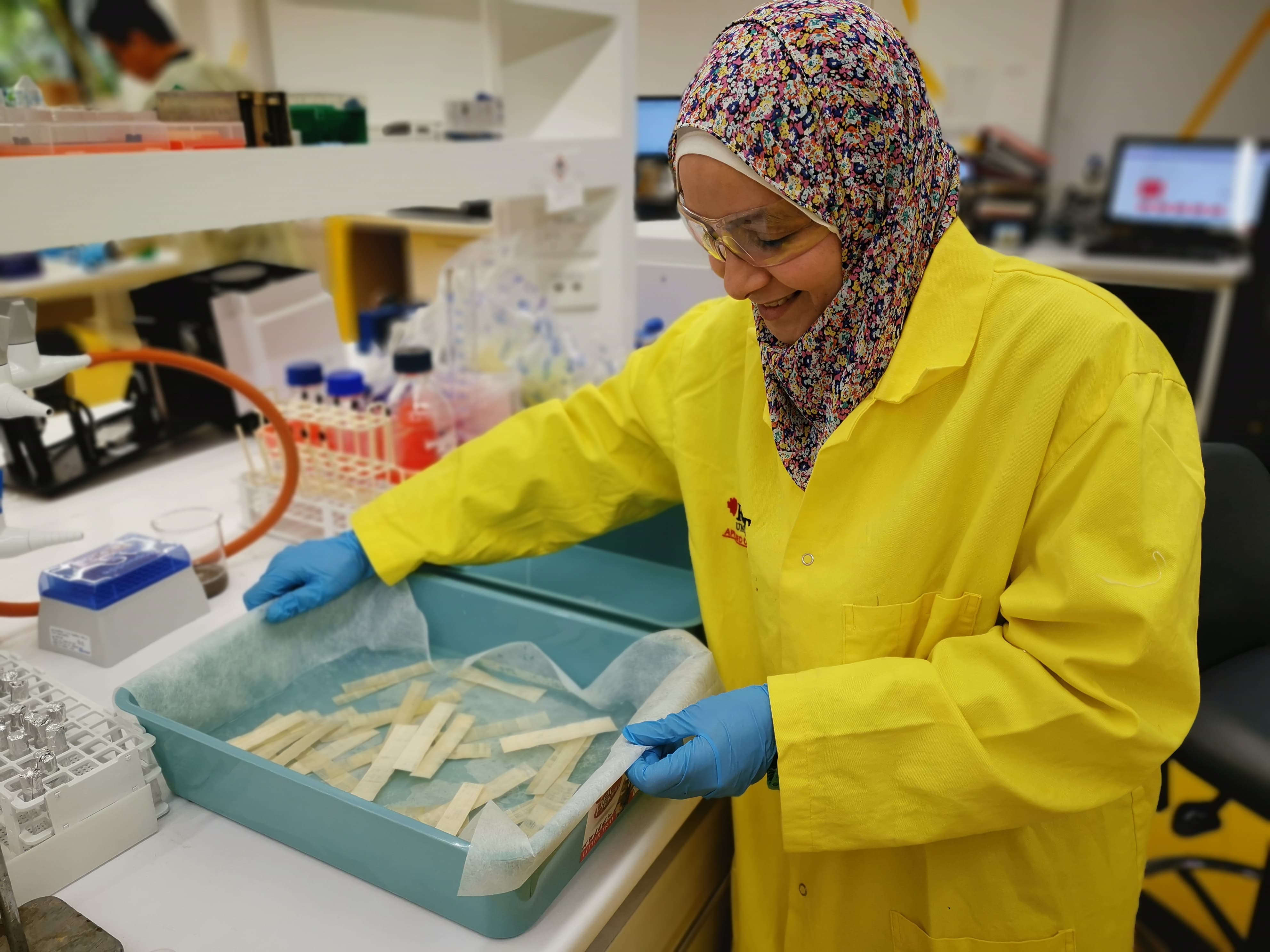 papyrus with elements of egyptian ancient history | Image Credit: © Elnur - stock.adobe.com