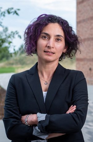 Maryam Shakiba is an Assistant Professor in the Aerospace Mechanics Research Center (AMREC) at the University of Colorado Boulder. Photo Credit: © Maryam Shakiba