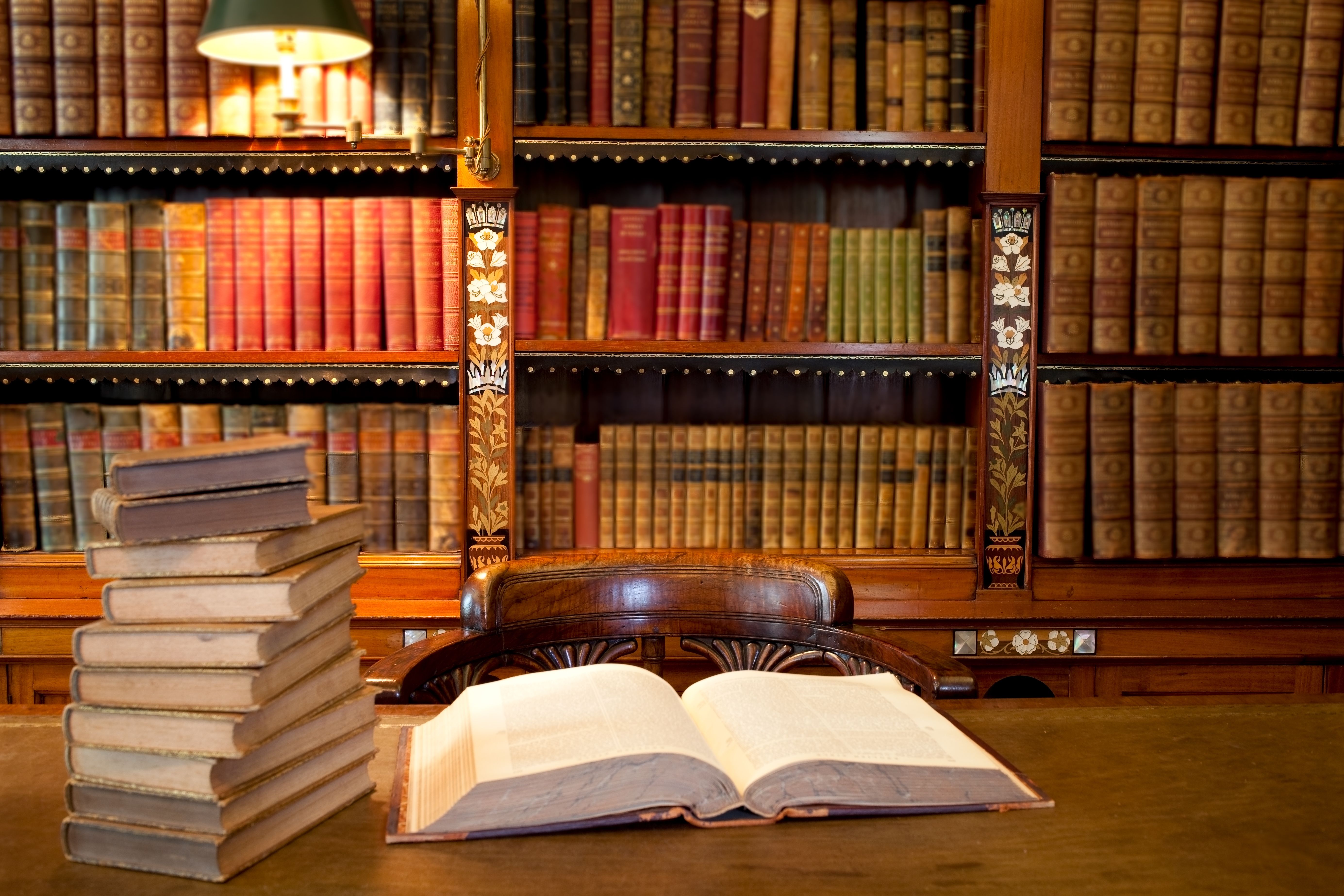 Инстаграм недели: книжные портреты из Франции