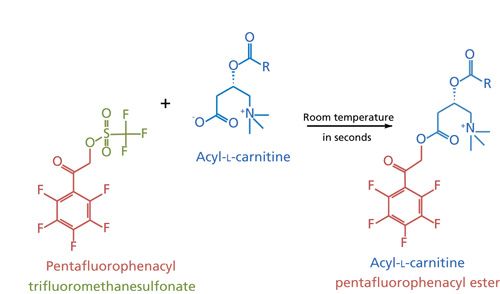 Appropriate Use of Mass Spectrometry in Clinical and Metabolic Research