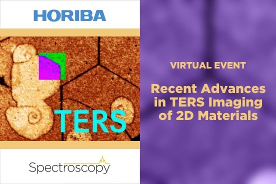 Recent Advances in TERS Imaging of 2D Materials