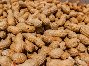 Peanuts in Shell: Nutritional Benefits and Uses | Image Credit: © VGV - stock.adobe.com