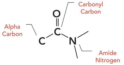 Organic Nitrogen Compounds Vi Introduction To Amides