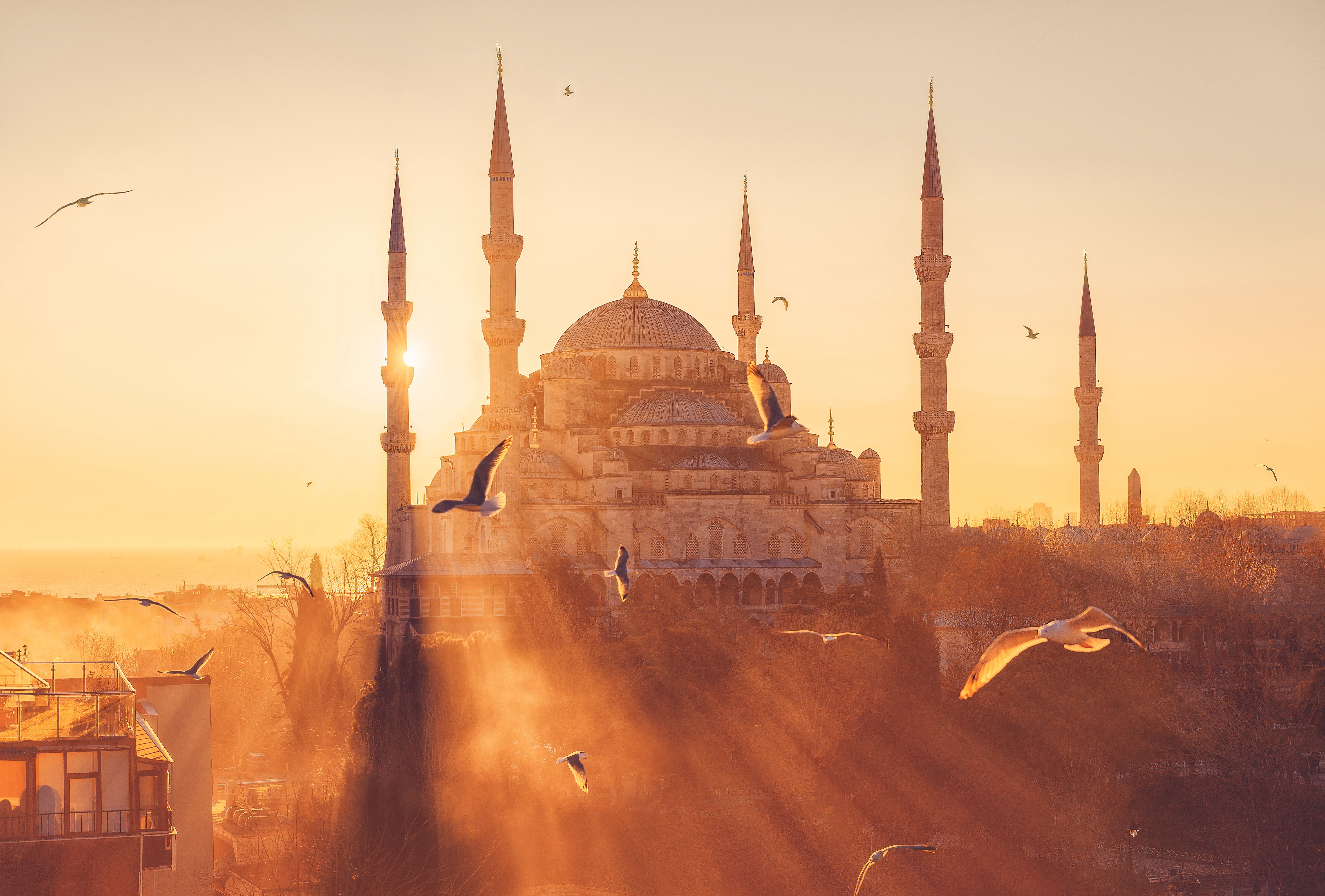 Blue Mosque (Sultanahmet Camii) at sunset. Istanbul, Turkey. Seagulls on the background of sunset. The landmark of Istanbul. | Image Credit: © mazurevanasta - stock.adobe.com