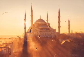 Blue Mosque (Sultanahmet Camii) at sunset. Istanbul, Turkey. Seagulls on the background of sunset. The landmark of Istanbul. | Image Credit: © mazurevanasta - stock.adobe.com