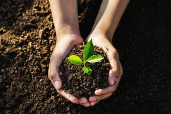 Hand holding young tree for planting. Concept eco Earth Day. | Image Credit: © lovelyday12 - stock.adobe.com