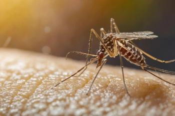 Zika virus aedes aegypti mosquito on human skin - Dengue, Chikungunya, Mayaro, Yellow fever. Generated by AI. | Image Credit: © farah - stock.adobe.com