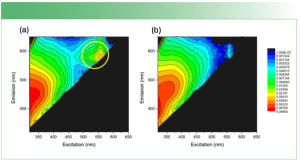 The Synergism Between Raman and ATEEM for Characterizing β Amyloid Insulin