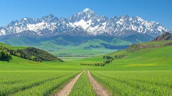 Qinghai Tibet Plateau: Snow-Capped Mountains, Barley Fields, Blue Sky in Stunning 8K Realism. Generated by AI. | Image Credit: © Saba - stock.adobe.com