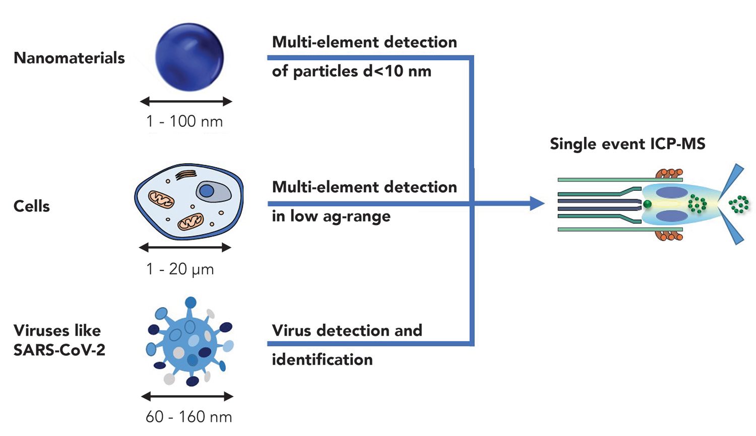 fig1L-11595450038436.jpg