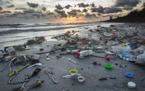 Dirty beach environment from plastic garbage. | Image Credit: © NPD Stock - stock.adobe.com.