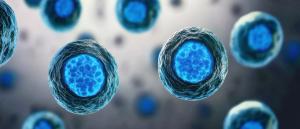 The image showcases a close-up of spherical cells with a blue hue, set against a blurred background, highlighting their intricate structures. Generated with AI. | Image Credit: © Purichaya - stock.adobe.com. 