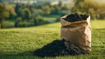 Large heavy paper bag filled with biochar on a grassy field, representing sustainable soil improvement. Generated with AI. | Image Credit: © Yan - stock.adobe.com
