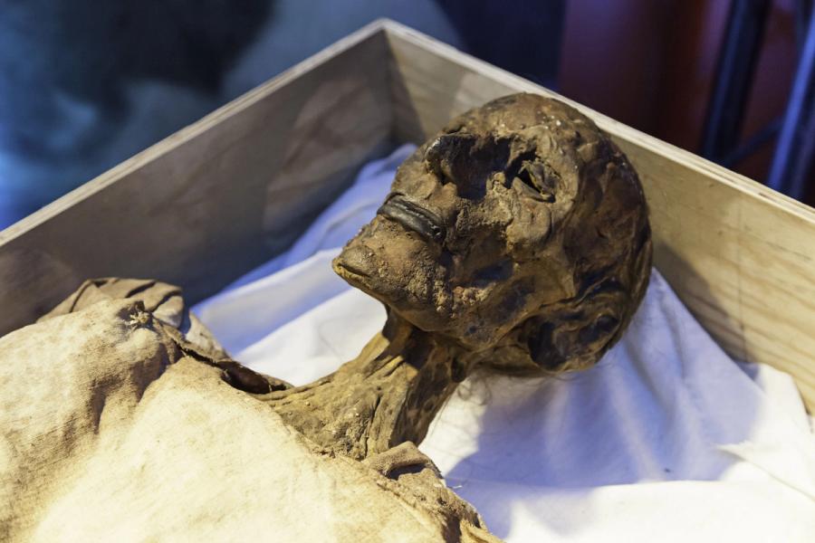 Ancient mummy | Image Credit: © esebene - stock.adobe.com