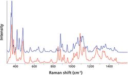 How to Design a Miniature Raman Spectrometer