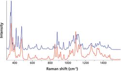 Raman Spectroscopy of Pharmaceutical Ingredients in a Humidity-Controlled Atmosphere