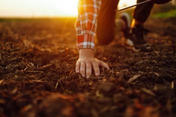 Farmer holding soil in hands close-up. Male hands touching soil on the field. Agriculture, organic gardening, planting or ecology concept. | Image Credit: © maxbelchenko - stock.adobe.com