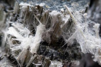 Asbestos chrysotile fibers. | Image Credit: © Terry Davis1/Wirestock - stock.adobe.com