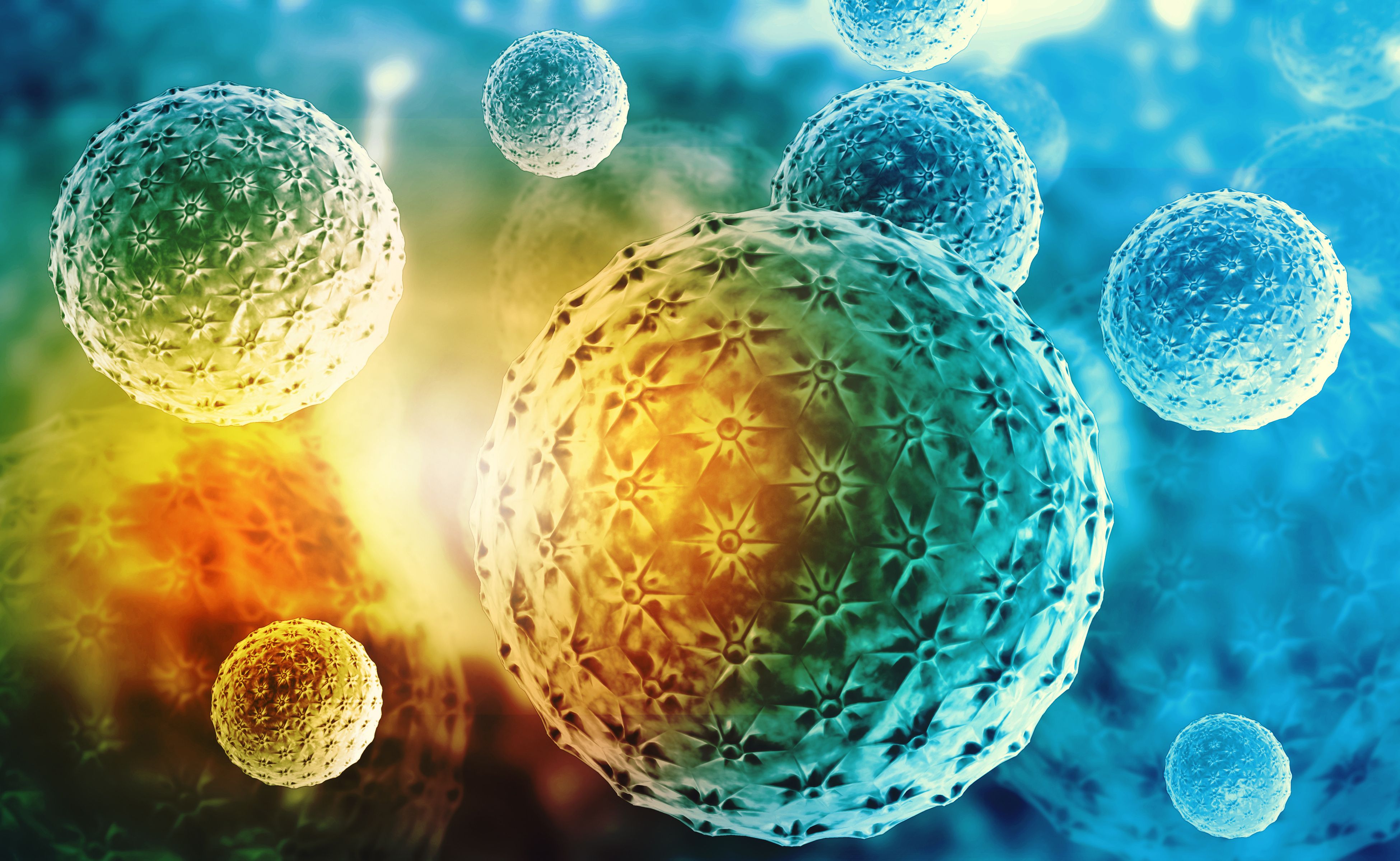 visual of hepatatis B cells