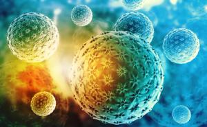 visual of hepatatis B cells