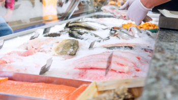 Standards and Guidelines for the Determination of Arsenic Species in Fish and Other Food of Seafood Origin