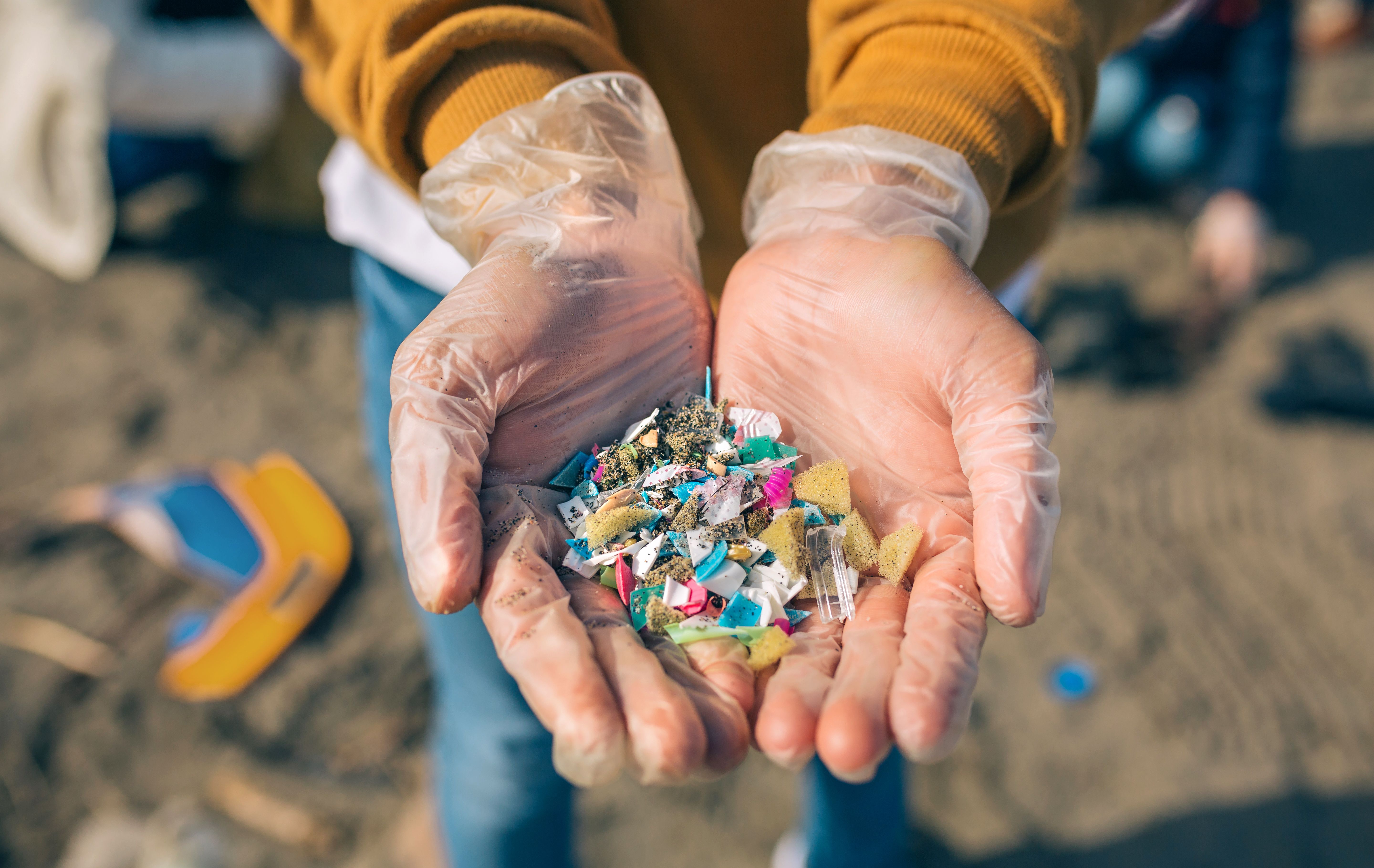 Detail of hands showing microplastics on the beach | Image Credit: © David Pereiras - stock.adobe.com.