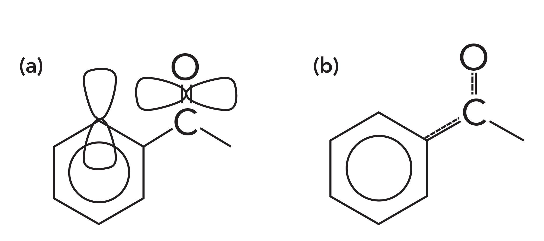 The Carbonyl Group, Part I: Introduction