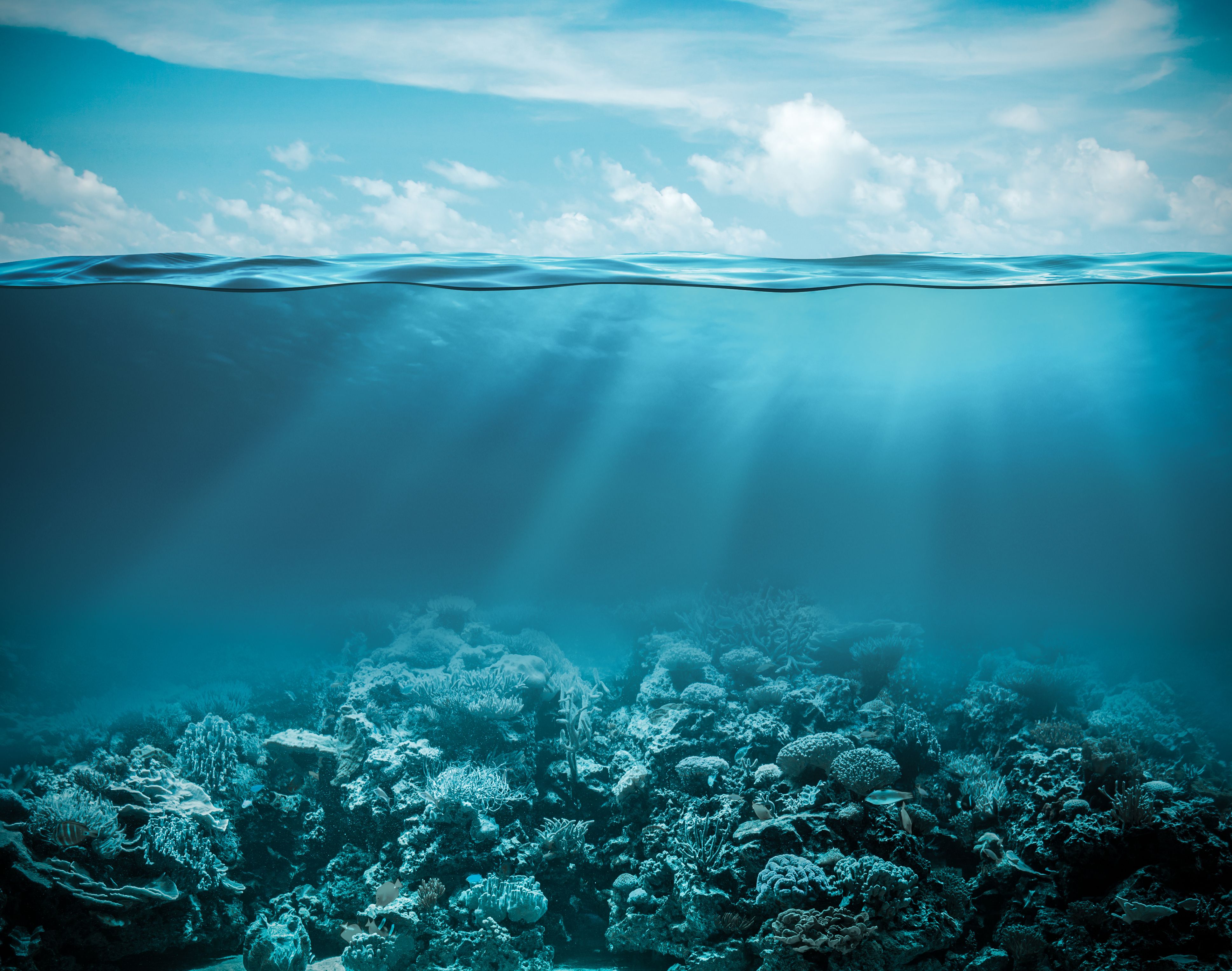 Sea or ocean underwater deep nature background | Image Credit: © Andrey Kuzmin - stock.adobe.com