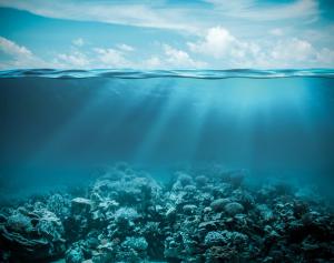 Sea or ocean underwater deep nature background | Image Credit: © Andrey Kuzmin - stock.adobe.com