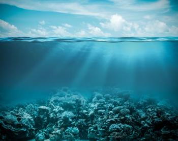 Sea or ocean underwater deep nature background | Image Credit: © Andrey Kuzmin - stock.adobe.com
