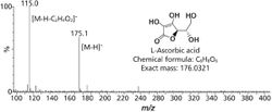Application of Mass Spectrometry to Support Verification and Characterization of Counterfeit Pharmaceuticals