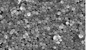 Analysis of a Mixture Solution Using Silver Nanoparticles Based on Surface-Enhanced Raman Spectroscopy (SERS)