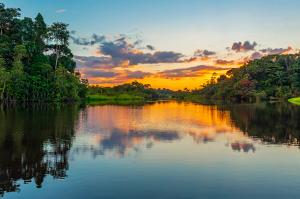 Reflection of a sunset by a lagoon inside the Amazon Rainforest Basin. The Amazon river basin comprises the countries of Brazil, Bolivia, Colombia, Ecuador, Guyana, Suriname, Peru and Venezuela. | Image Credit: © SL-Photography - stock.adobe.com