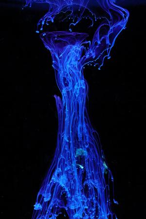 The Fundamentals of Total Reflection X-ray Fluorescence