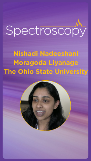 SciX Conference: Reflecting on the Speed Mentoring Session