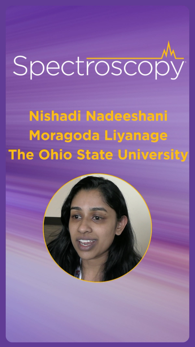 SciX Conference: Reflecting on the Speed Mentoring Session