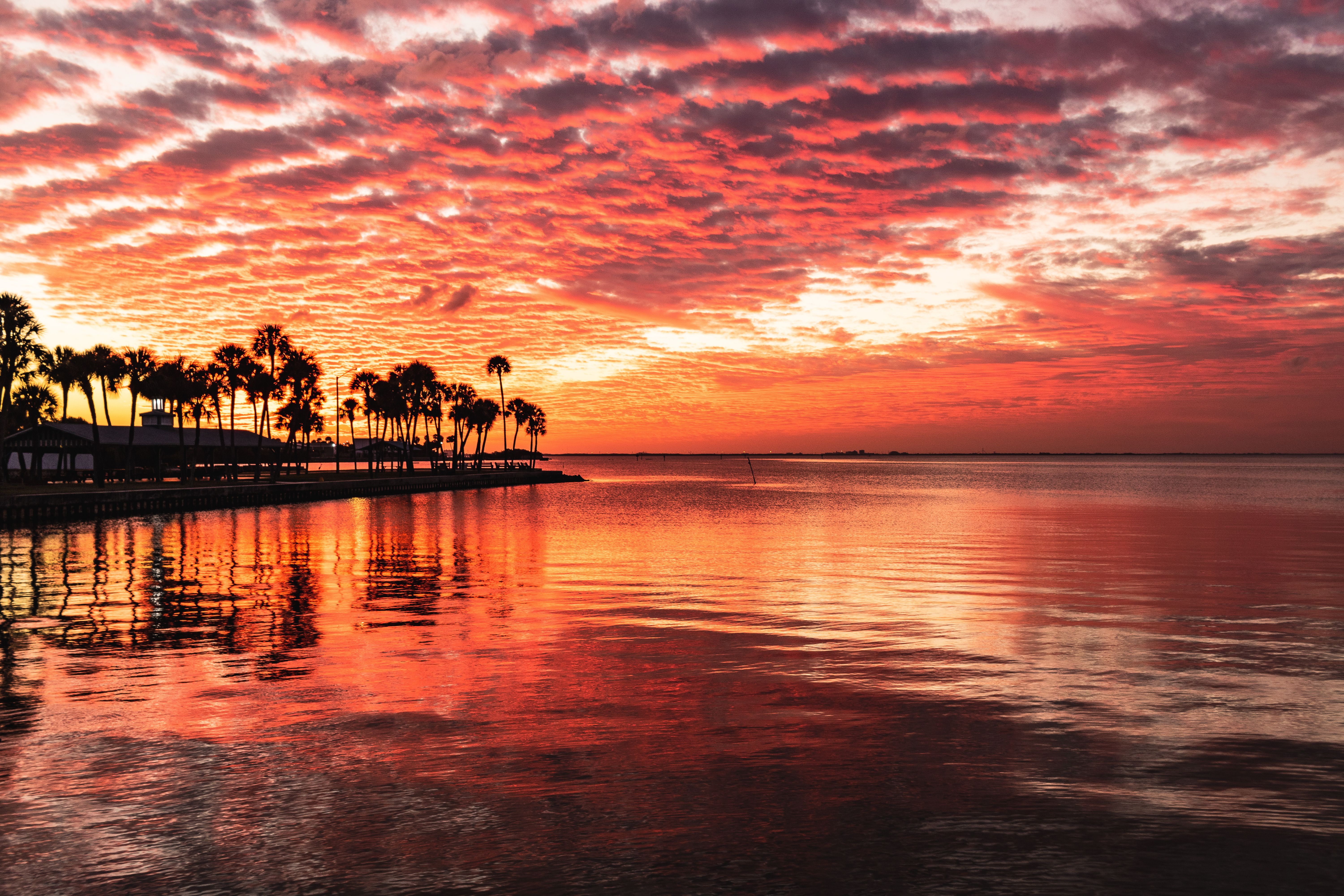 Tonight's sunset, Tampa Bay | Image Credit: © steven - stock.adobe.com