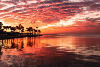 Tonight's sunset, Tampa Bay | Image Credit: © steven - stock.adobe.com