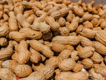 Peanuts in Shell: Nutritional Benefits and Uses | Image Credit: © VGV - stock.adobe.com
