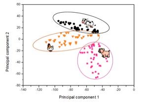 Figure1.jpg