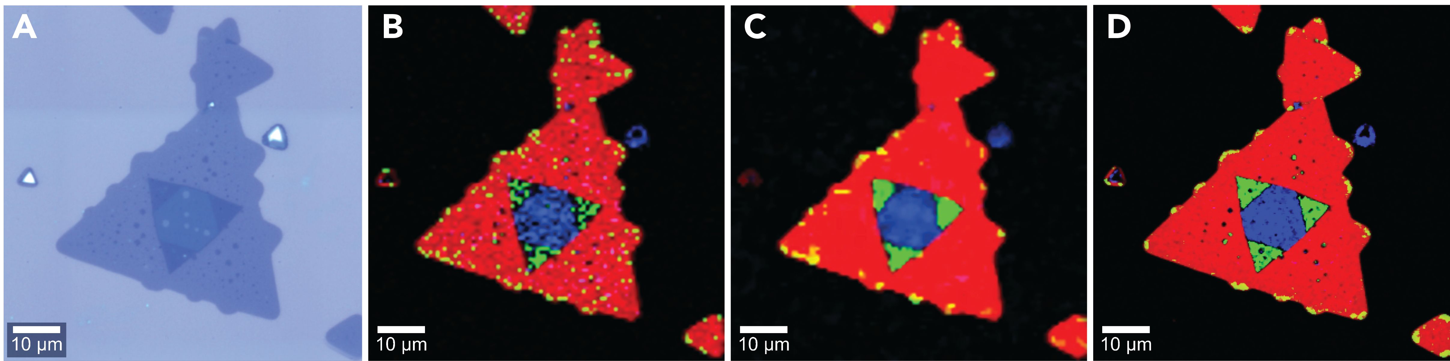 Tmd Raman Rotation TMD Layer Characterization with Raman and RISE Microscopy