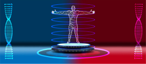 Human body wireframe on glowing platform undergoing futuristic body scan. © sergray(noAIelemens) -chronicles-stock.adobe.com