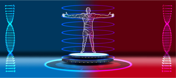 Human body wireframe on glowing platform undergoing futuristic body scan. © sergray(noAIelemens) -chronicles-stock.adobe.com