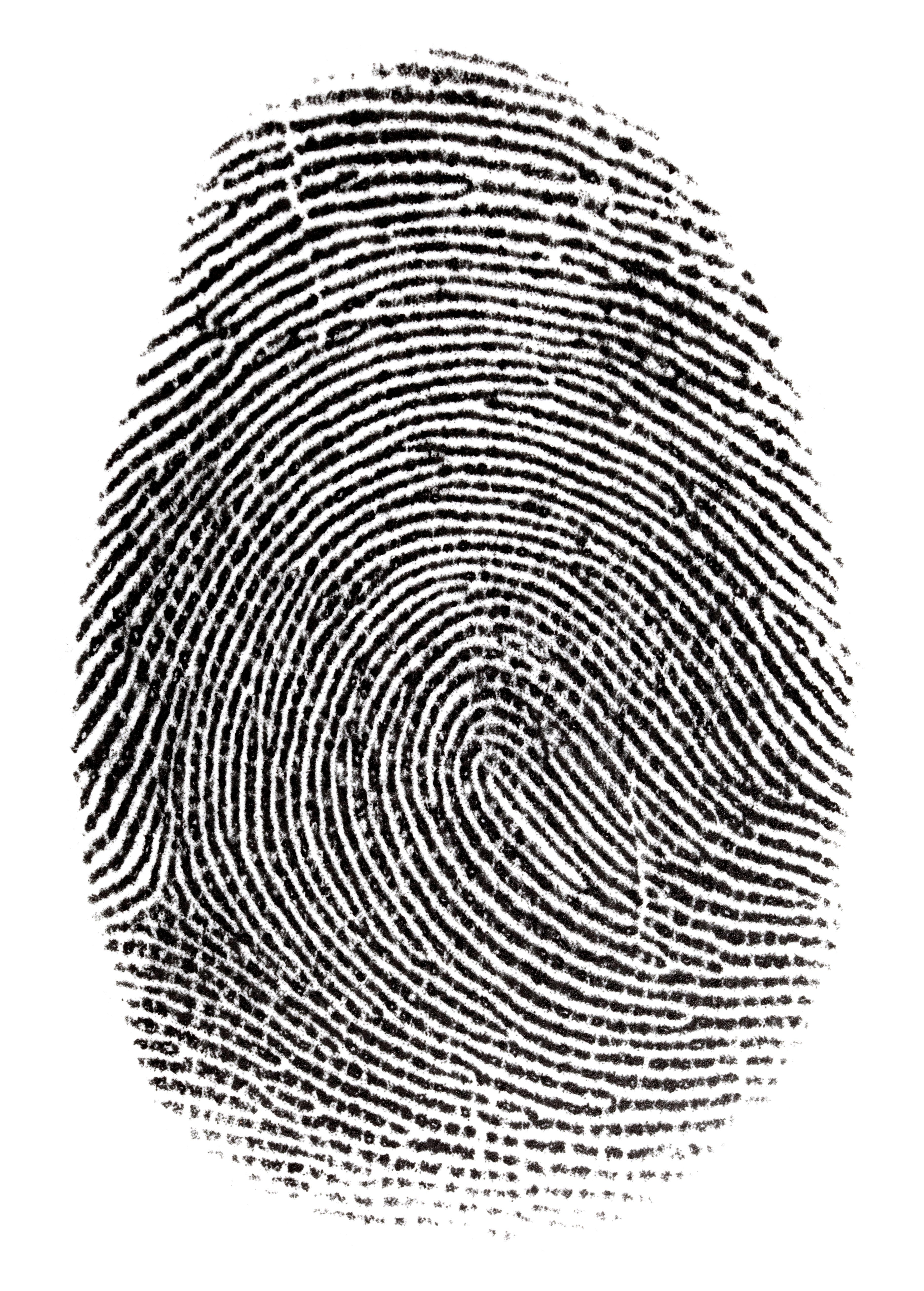 Real fingerprint in white background Super macro